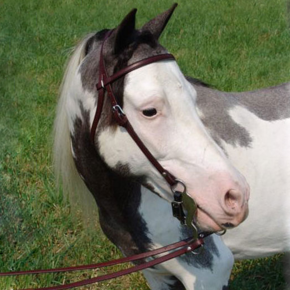 Ozark Western Leather Bridle