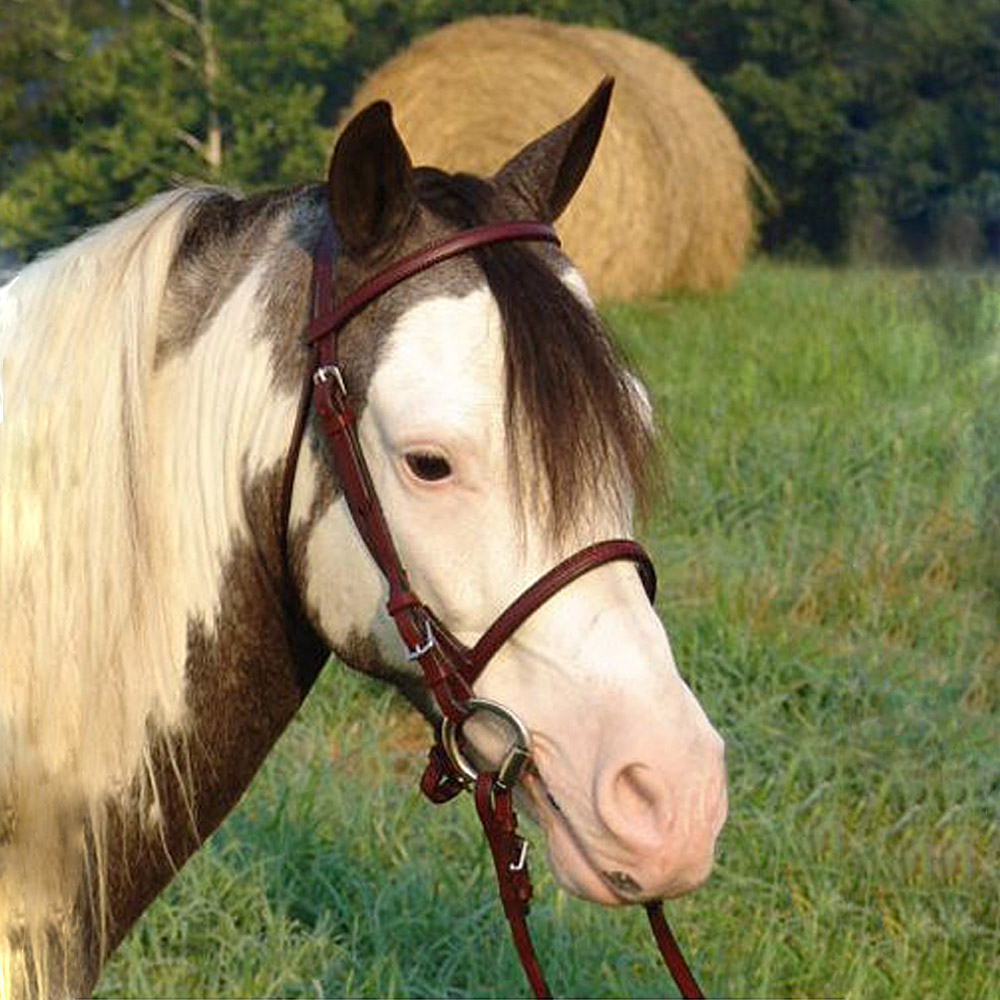 Ozark English Leather Bridle