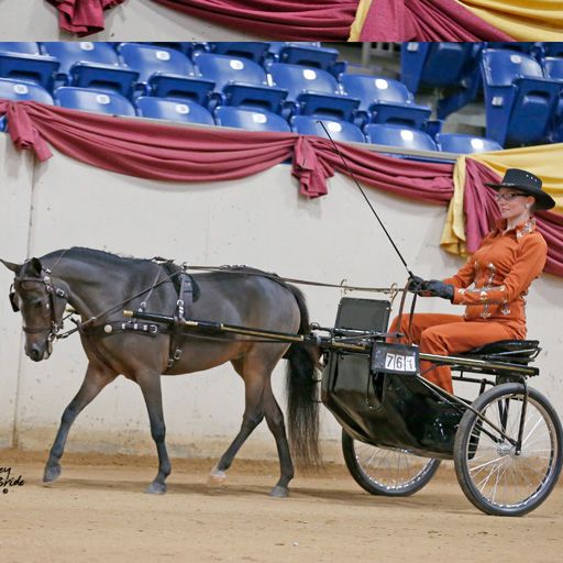 Ozark Western Leather Show Harness